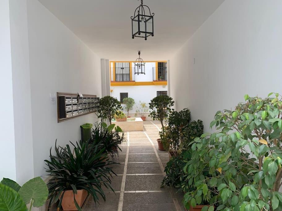 Pilsev Center Apartment Seville Ngoại thất bức ảnh